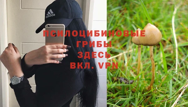 мяу мяу мука Белоозёрский