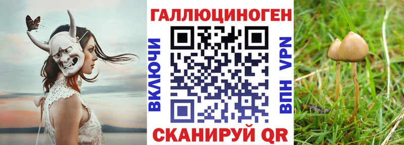 Псилоцибиновые грибы ЛСД  купить наркотик  Отрадная 