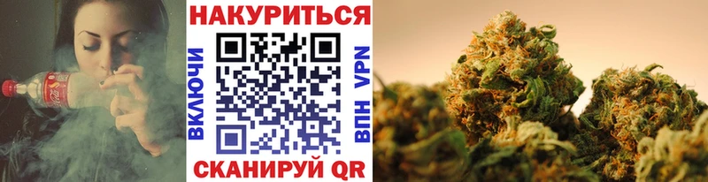 blacksprut сайт  купить наркотик  Отрадная  Шишки марихуана сатива 